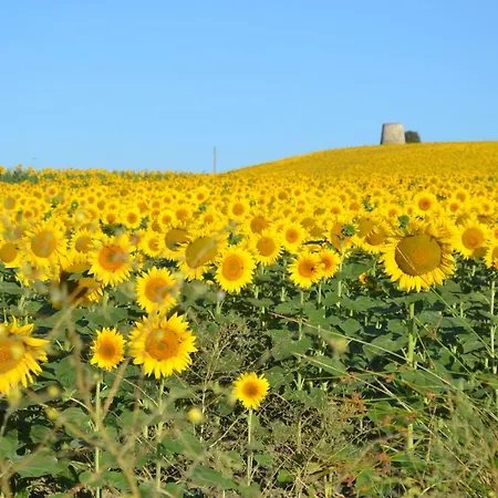 Casa de Férias La Grande Maison De Brezilhou Campagne-sur-Aude